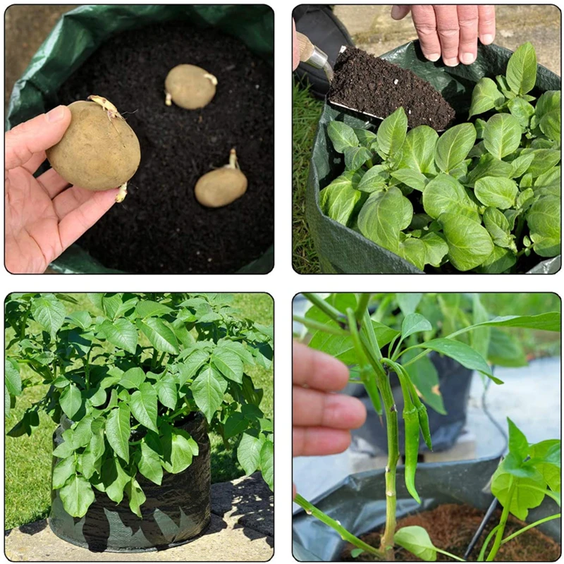 Sebze bitkileri Çanta Büyümek DIY Patates Ekici PE Bez Domates Dikim Konteyner Çanta PE Kalınlaşmak Bahçe Pot Bahçe Malzemeleri Görüntü  5