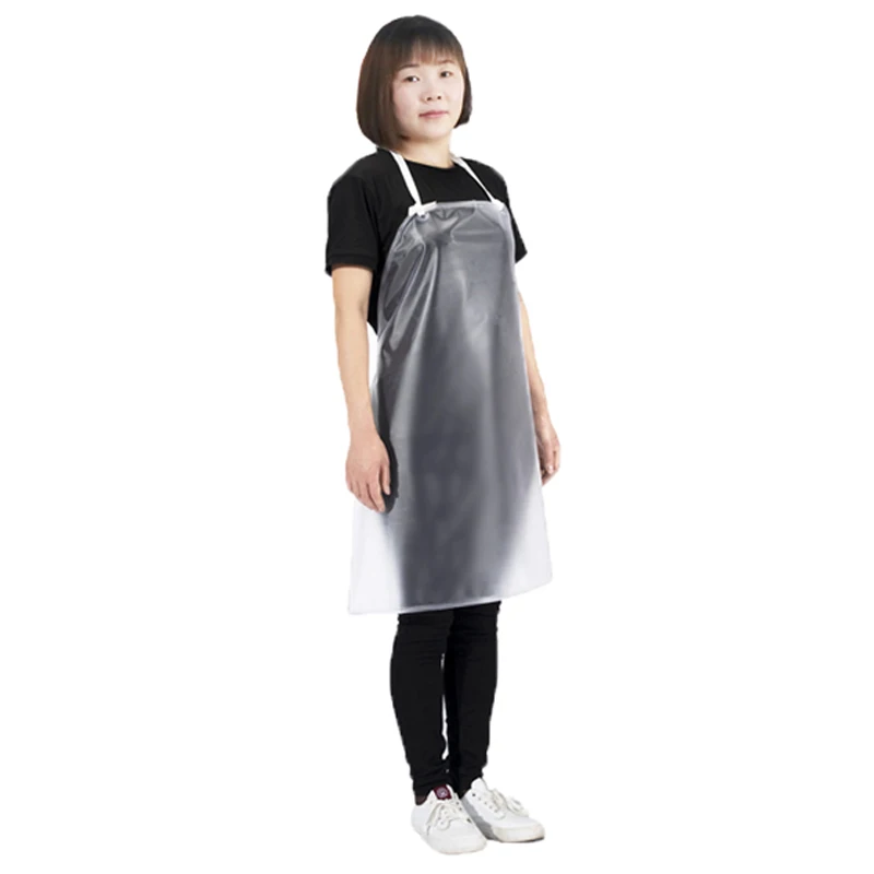 Su geçirmez Yağ geçirmez Önlük Mutfak Kadın Ev Pişirme Moda özel Logo Baskı İş Erkek Yetişkin Şeffaf Bel Görüntü  3