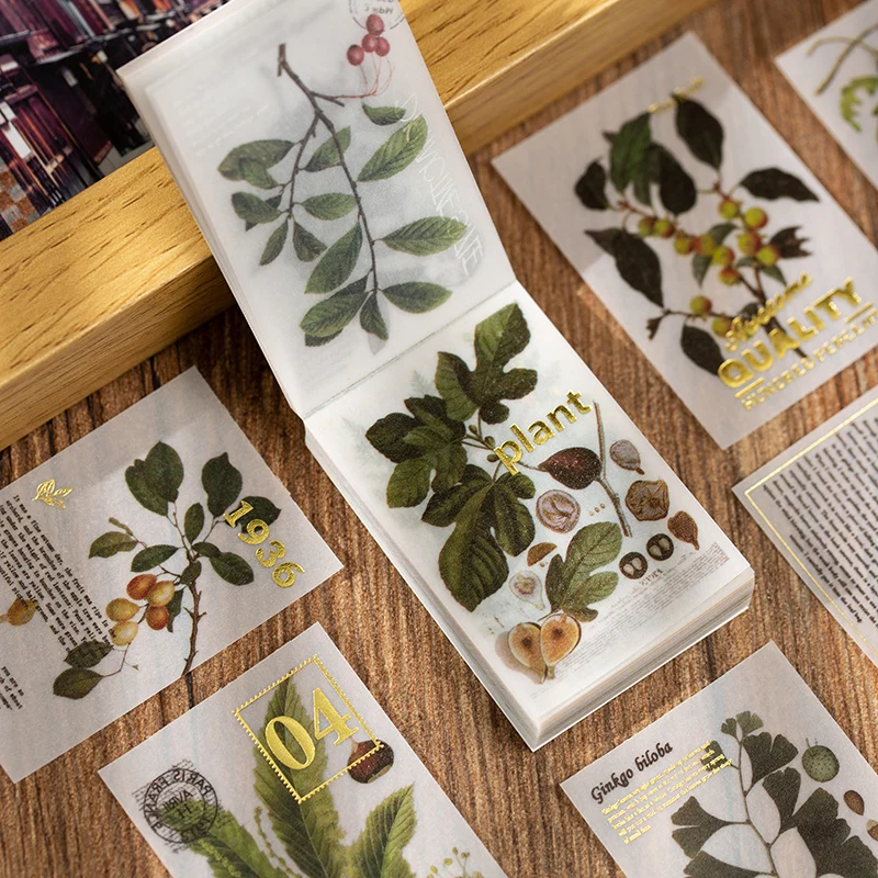 100 yaprak Retro bitki mantar yaldız saydam Bloknot Günlüğü Kırtasiye Gevreği Karalama Defteri Dekoratif Vintage malzeme kitap Görüntü  1