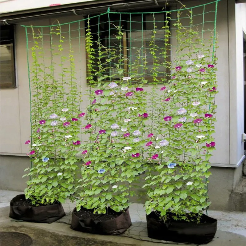 4 adet 180 * 360cm Bitkiler tırmanma ağı bahçe ağı çiçek askılığı Salatalık Lif Kabağı Büyüyen Destek Naylon Net Tutucu Bitkiler Bakım Örgü Görüntü  5