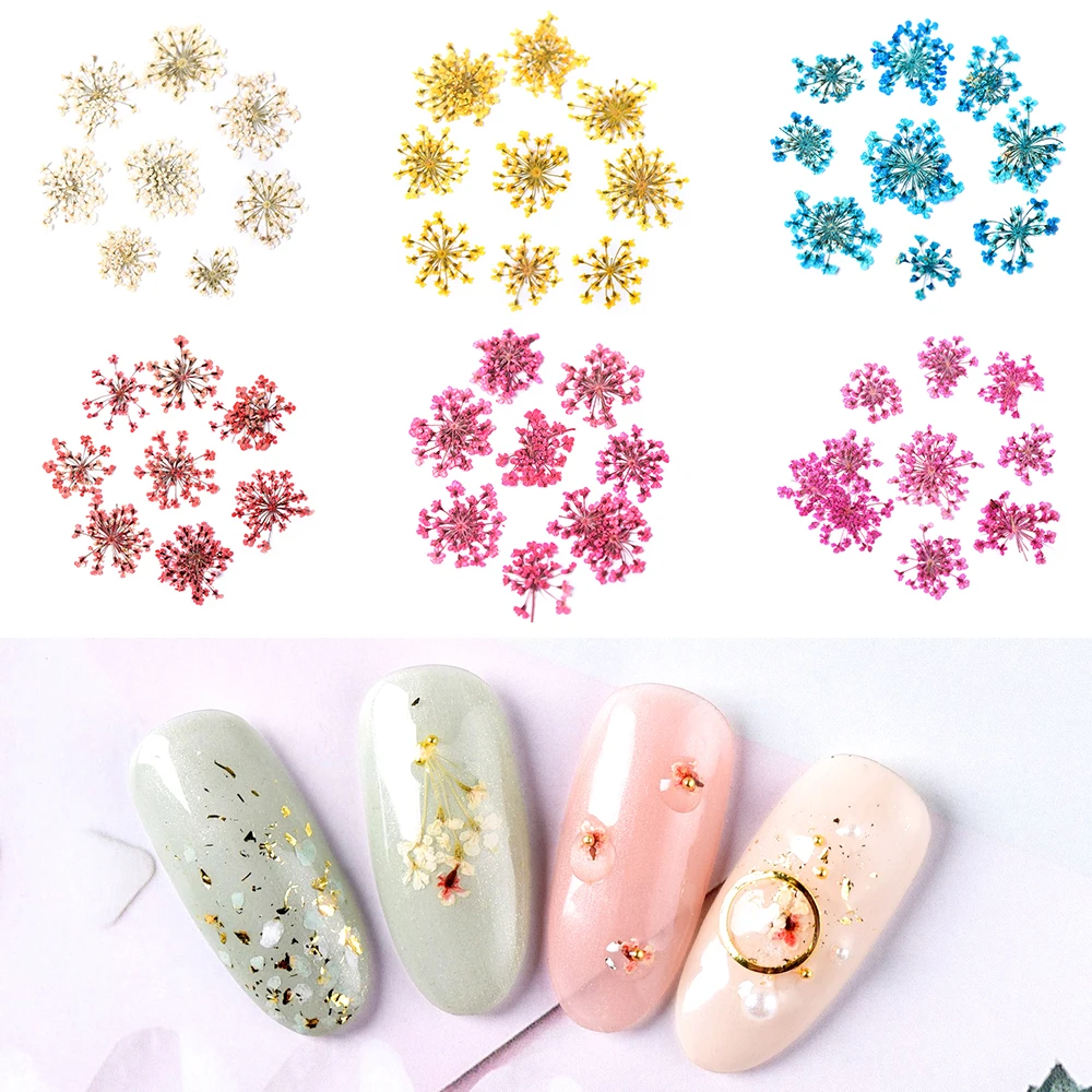 3D Kurutulmuş Çiçek Nail Art Dekorasyon Doğal Çiçek Yaprak Karışık Kuru Çiçek DIY Nail Art Çıkartması Jel Lehçe Sticker Yaz Manikür Görüntü  0