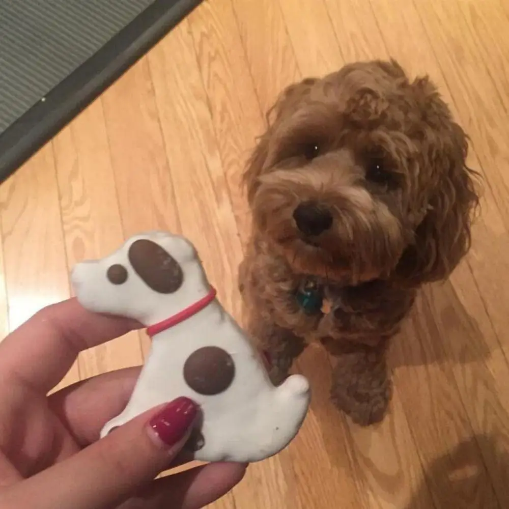 6 Stilleri Metal Pet Köpek Kemik Paw kurabiye kesici Kalıp DIY Fondan Sugarcraft Pasta Bisküvi 3D Pişirme Kalıp Kek Dekorasyon Araçları Görüntü  3