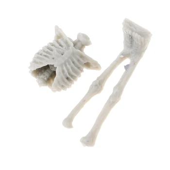 1 / 35th Minyatür Kafatası İskelet Heykelcik Kum Masa Manzara Yapı Oyuncak model seti Oyuncaklar
