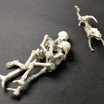 1 Adet Cadılar Bayramı Simüle Şekil İnsan Kafatası İskelet Hareketli Mr. Kemikleri İskelet İnsan Modeli Kafatası Tam Vücut Mini Oyuncak Dekorasyon