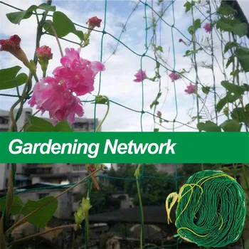 1 Paket Bahçe Tesisi Kafes Örgü Esnek Elastik Bitki Desteği Asma Net Tırmanma Asma Halat Meyve ve Sebze Bitkileri için