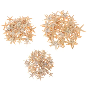 100 adet Deniz Kabukları Boyutu:0.5-3cm Mini Denizyıldızı Zanaat Dekorasyon Doğal Deniz Yıldızları DIY Plaj Yazlık Düğün Dekor El Sanatları Düğün