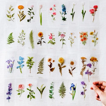 30 adet Simülasyon bitki preslenmiş çiçek şerit yapışkan kitap günlüğü DIY dekoratif çıkartmalar kolaj dekoratif el hesabı çıkartmalar
