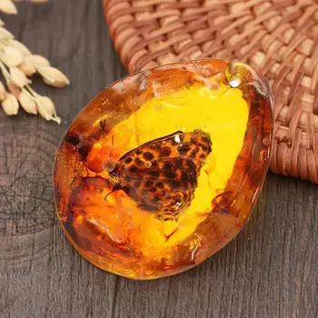 4 * 5cm Doğal Kaba Kelebek Amber Taş Böcek Spcimen Taş Kolye Masa DIY Takı Kolye Dekorasyon Kolye Sprey Y0N3