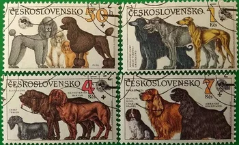 4 ADET, Çekoslovakya Posta Damgası, 1990, Köpek Pulları, Pul Koleksiyonu, Hayvan Damgası, İyi Durum Koleksiyonu