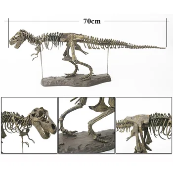 4D Monte Dinozor Fosili Tyrannosaurus İskelet çocuk Oyuncak Simülasyon Modeli Kemik Büyük Dıy Bulmaca Süsler Erkek Hediyeler