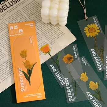 5 adet / takım Doğal Bitki çiçek yaprakları Imi PVC Okuma kitap ayracı Kırtasiye Malzemeleri Hediye Kitap Sayfa Işaretleyici Okul Dergisi