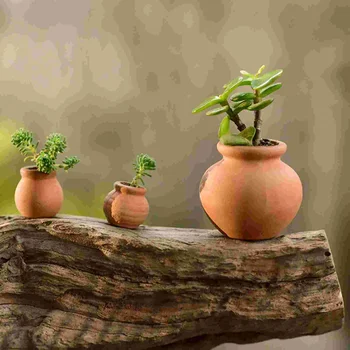 6 adet Minyatür Çiçek Saksıları Seramik Etli Bitkiler Pot Kaktüs Kapları Peri Bahçe Masaüstü Dekorasyon