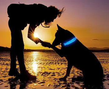 Ayarlanabilir LED köpek tasması Parlayan anti-kayıp Gece Güvenlik Pet Aydınlık Yaka Yanıp Sönen Kolye Küçük Orta Büyük Köpekler için Kedi