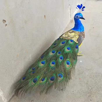 Gerçek hayat oyuncak tavuskuşu uzun 60cm köpük ve güzel tüyler tavuskuşu kuş sert model pervane.ev bahçe, parti dekorasyon hediye w0762