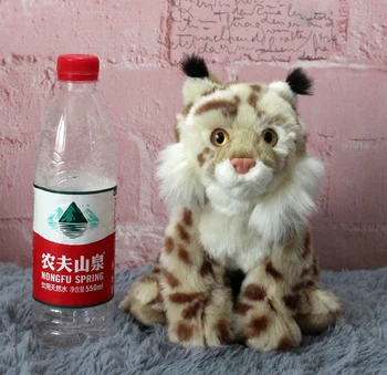Hediye simülasyon bebek simülasyon hayvan oyuncak Vahşi kunduz Bobcat bebek Lynx
