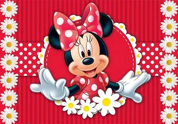 Minnie Mouse Zemin 1st Doğum Günü Siyah ve Kırmızı Minnie Mouse Mutlu Doğum Günü Arka Plan Kız için Bir Yaşında Vinil Afiş