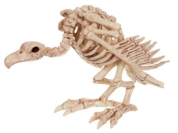 Sıcak Satış Fantezi kemik iskeleti Hayvan İnsan Kafatası İskeleti Kemikleri Parti Korku Cadılar Bayramı Dekor Ev Dekorasyon Aksesuarları