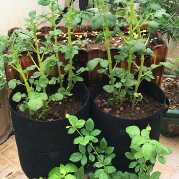 Taşınabilir Çanta Büyümek Bahçe Bitkileri Büyüme Fide Tencere Kumaş Çevre Dostu Havalandırma Sera Tarım Sebze Araçları