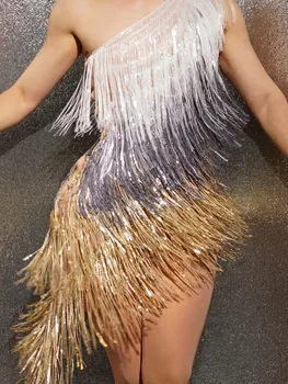 Yanıp sönen Gümüş Altın Saçaklar Latin Dans Elbise Balo Parti Doğum Günü Kıyafet Akşam Dansçı Şarkıcı Kostüm