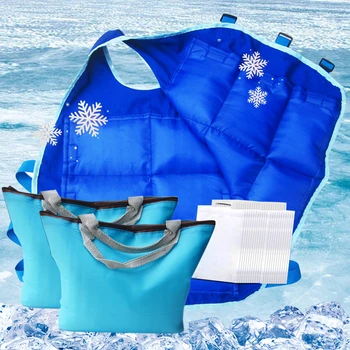 Yaz Vücut soğutma yeleği 12/24 adet Set Buz Paketleri Açık Balıkçılık Bisiklet Koşu Pişirme Sürme anti-yüksek Sıcaklık