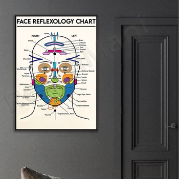 Yüz refleksoloji grafik, detaylı diyagramı yüz anatomisi resim baskılı tuval poster, tıbbi klinik eğitim duvar dekorasyonu
